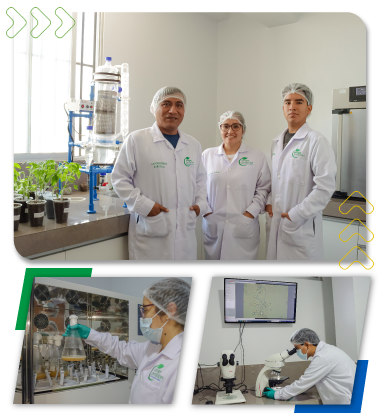 laboratorio